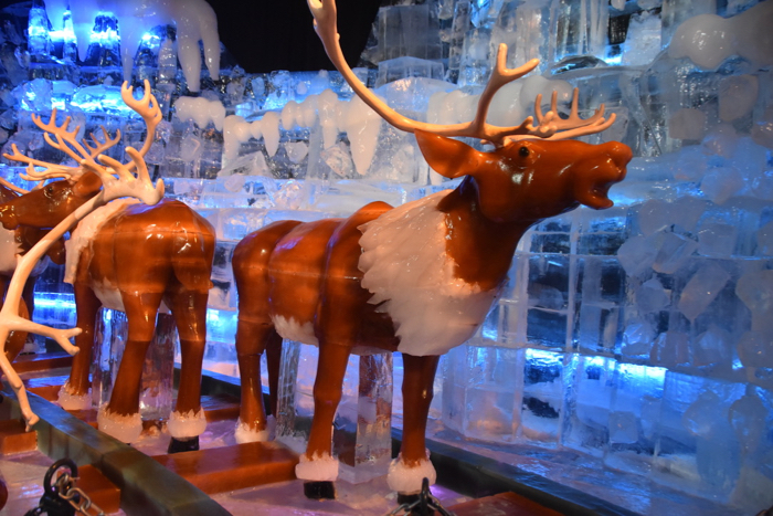 ICE! at Gaylord Palms Featuring the Polar Express” is the Most Impressive  ICE! Experience Yet (Photos, Video) – Mousesteps