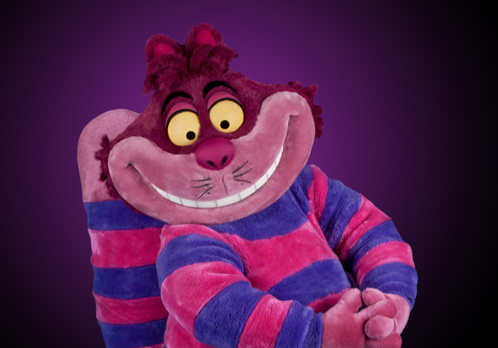 Disneyland Walt Disney World Alice in Wonderland Cheshire Cat Plush 