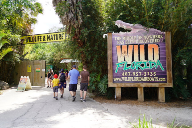 A Visit to Wild Florida Drive-Thru Safari Park with Giraffe Feeding ...