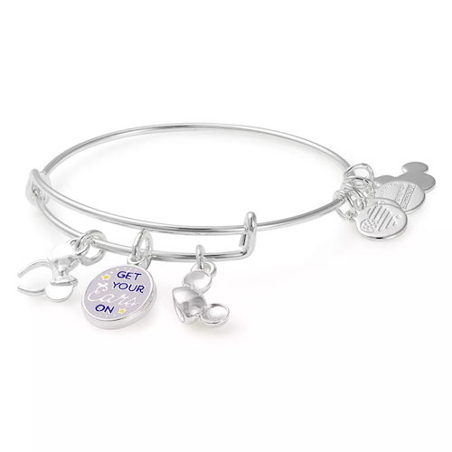 Minnie mouse ears hot sale alex and ani