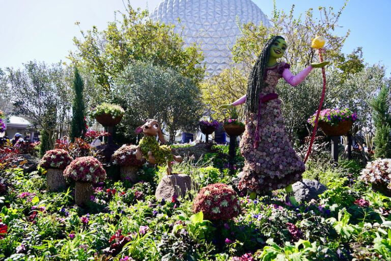 New Moana Topiary Display to Debut at EPCOT International Flower