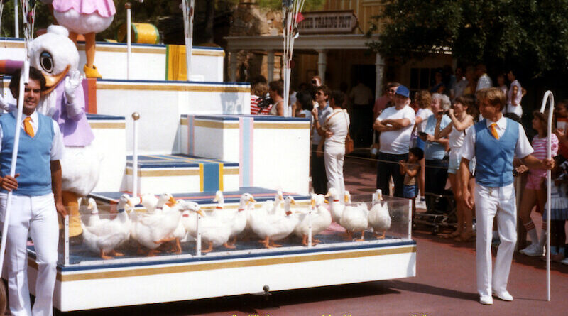 Ducks in Donald Duck's 50th Birthday Parade in 1984