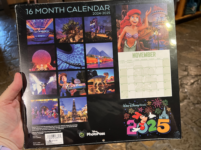 2025 Walt Disney World Calendar Now for Sale - Mousesteps