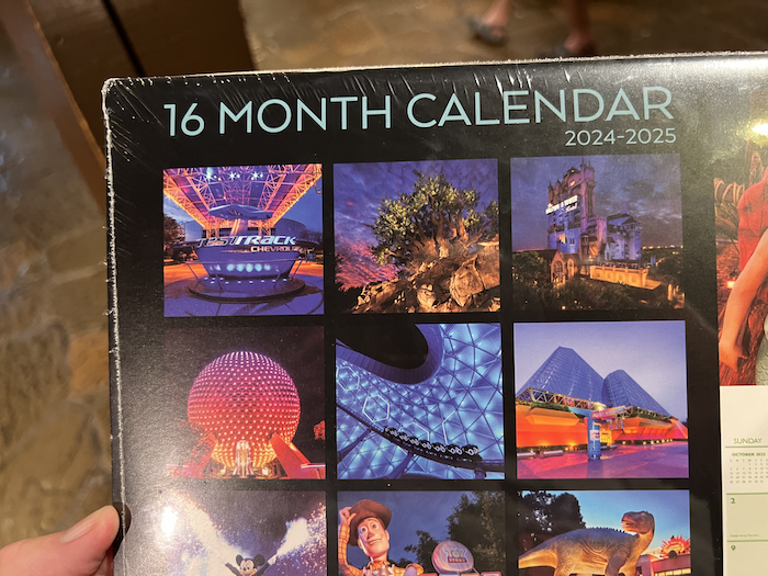 2025 Walt Disney World Calendar Now for Sale Mousesteps