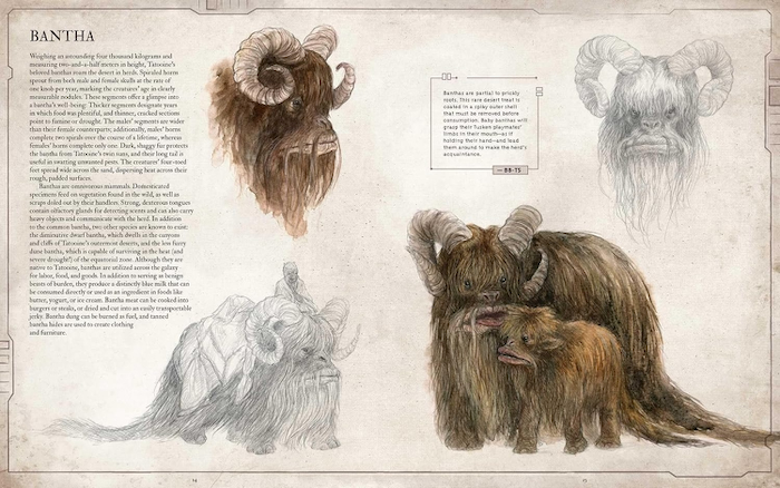 Star Wars Bestiary Vol 1