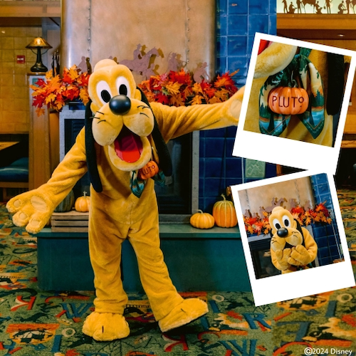 Pluto for "Mickey's Autumn Adventures" at Storytellers Cafe