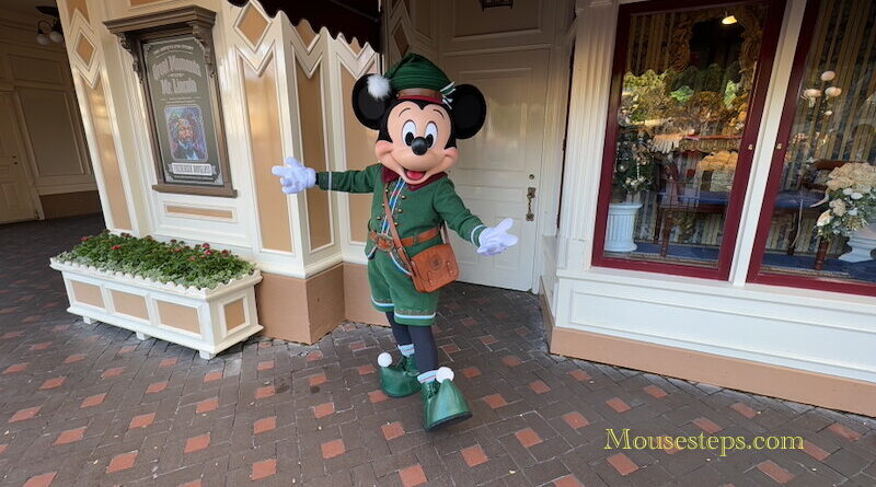 Mickey at Disneyland for the Holiday Season