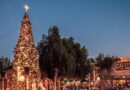 Knott's Merry Farm Tree Lighting Ceremony