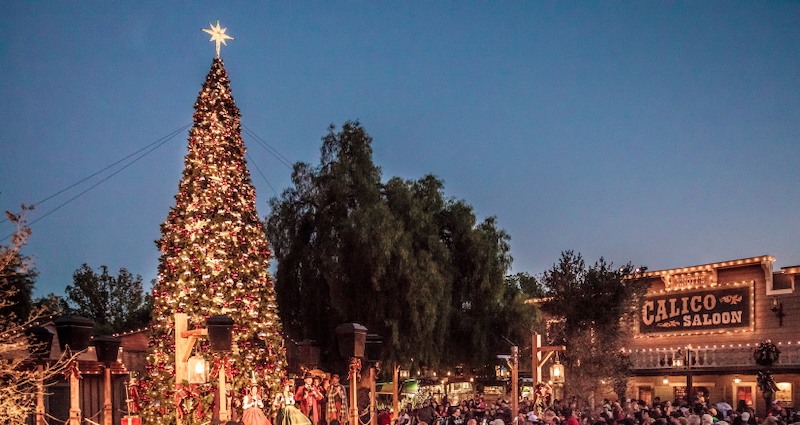 Knott's Merry Farm Tree Lighting Ceremony