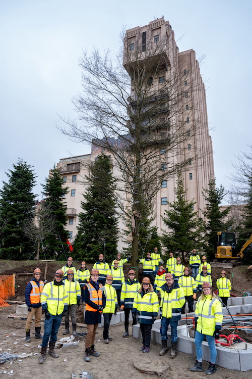 Adventure Way Willow Oak Tree at Disneyland Paris and Imagineers