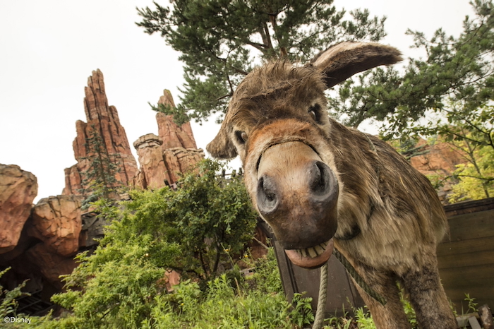 Big Thunder Mountain Railroad Disneyland Paris donkey