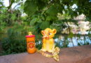 Simba themed sipper and cup at Disneyland Paris