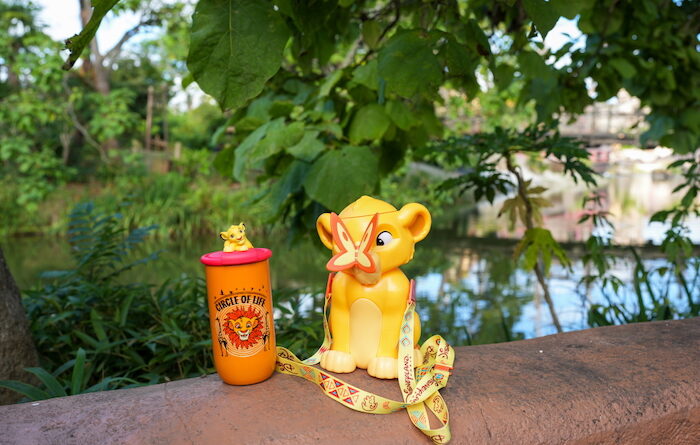 Simba themed sipper and cup at Disneyland Paris